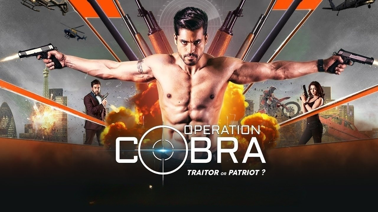 Operation Cobra (2019) S01 Hindi WEB-DL
